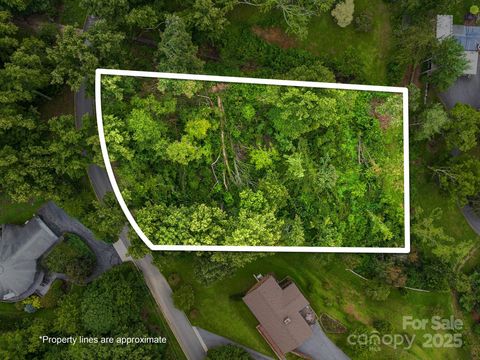 Photo of 99999 Windsor Road, Asheville, NC 28804 (MLS # 4287076)