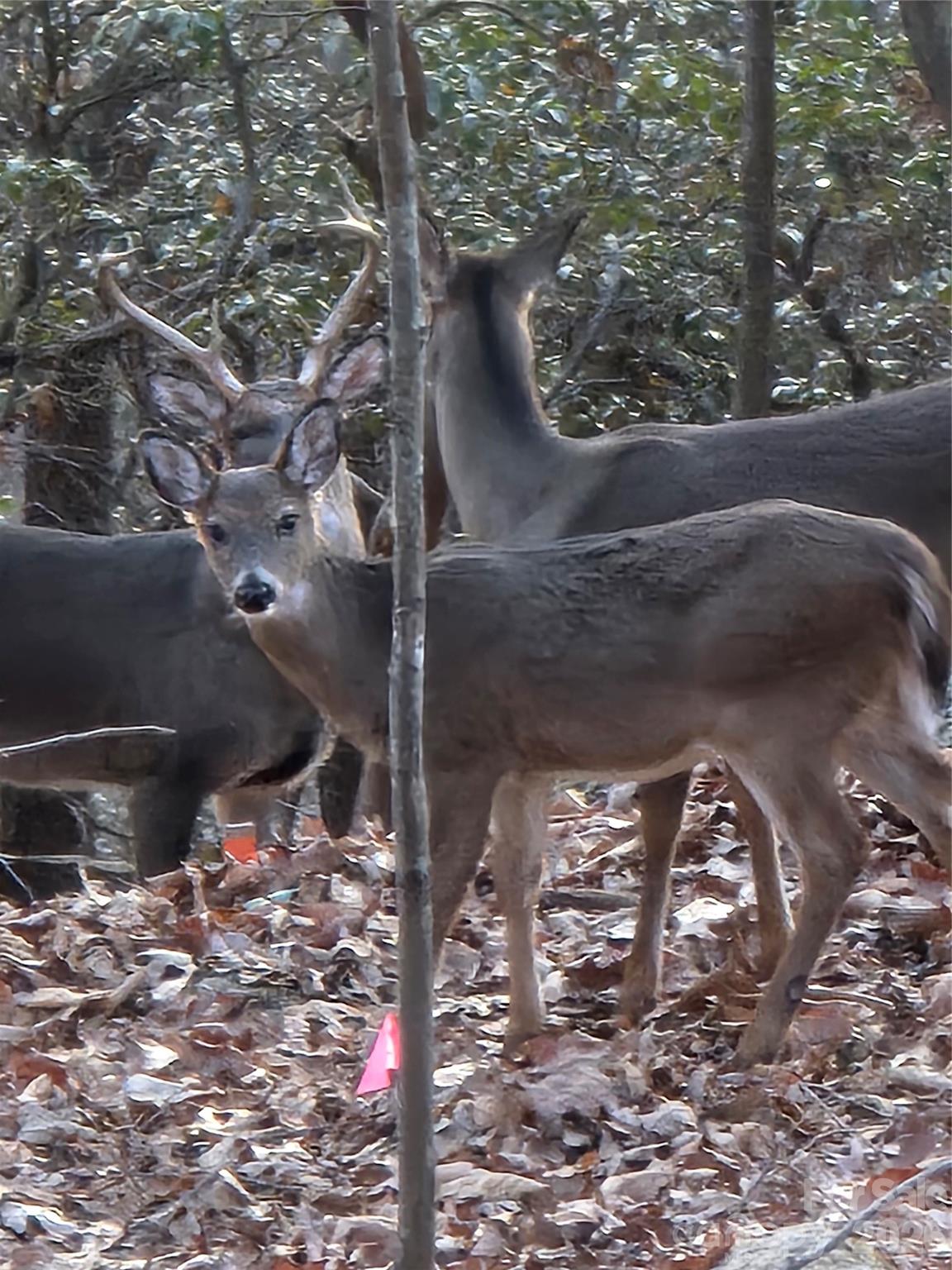 High Vista - Residential