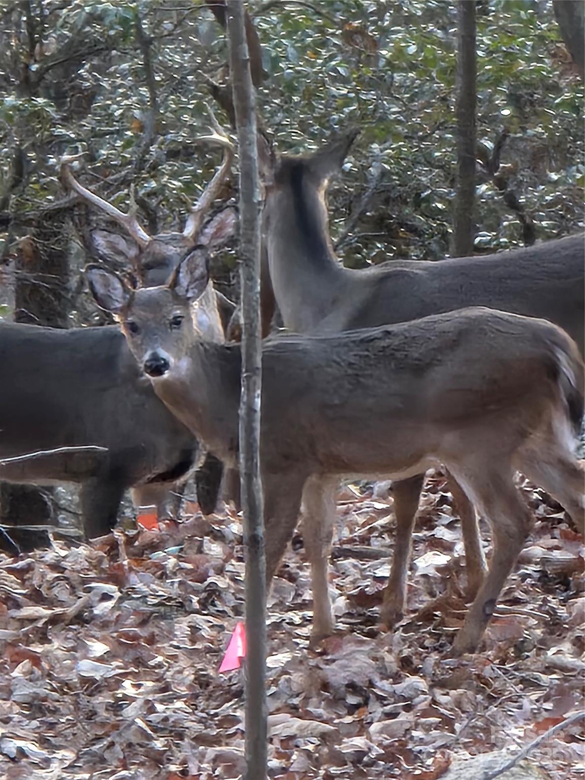 High Vista - Residential