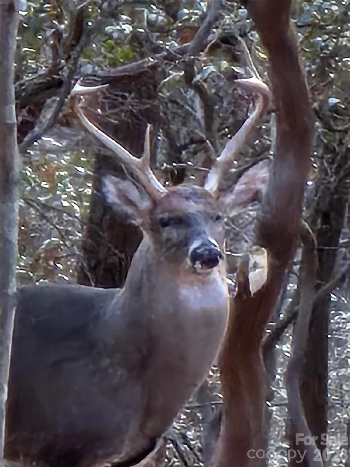 High Vista - Residential