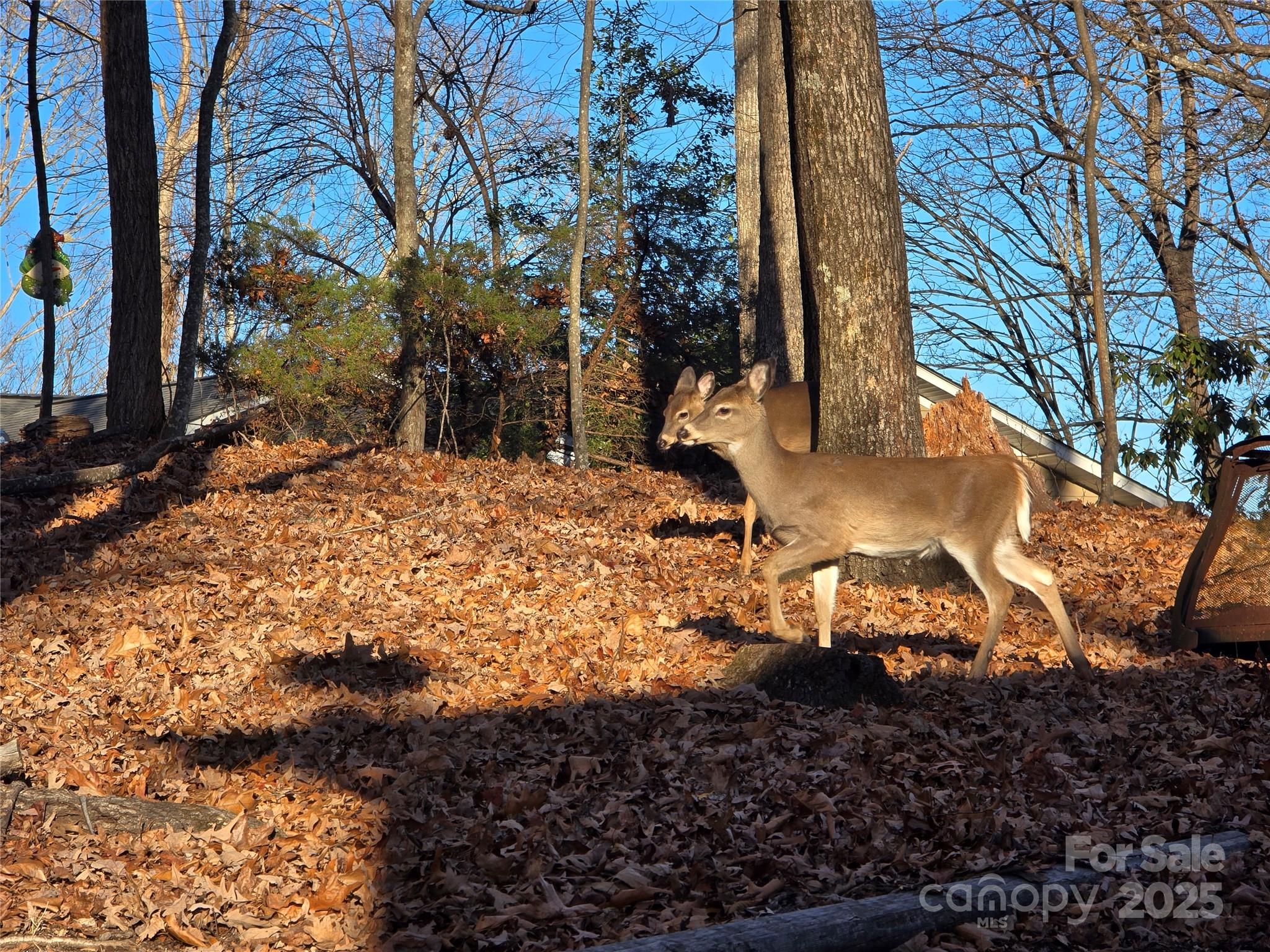 High Vista - Residential