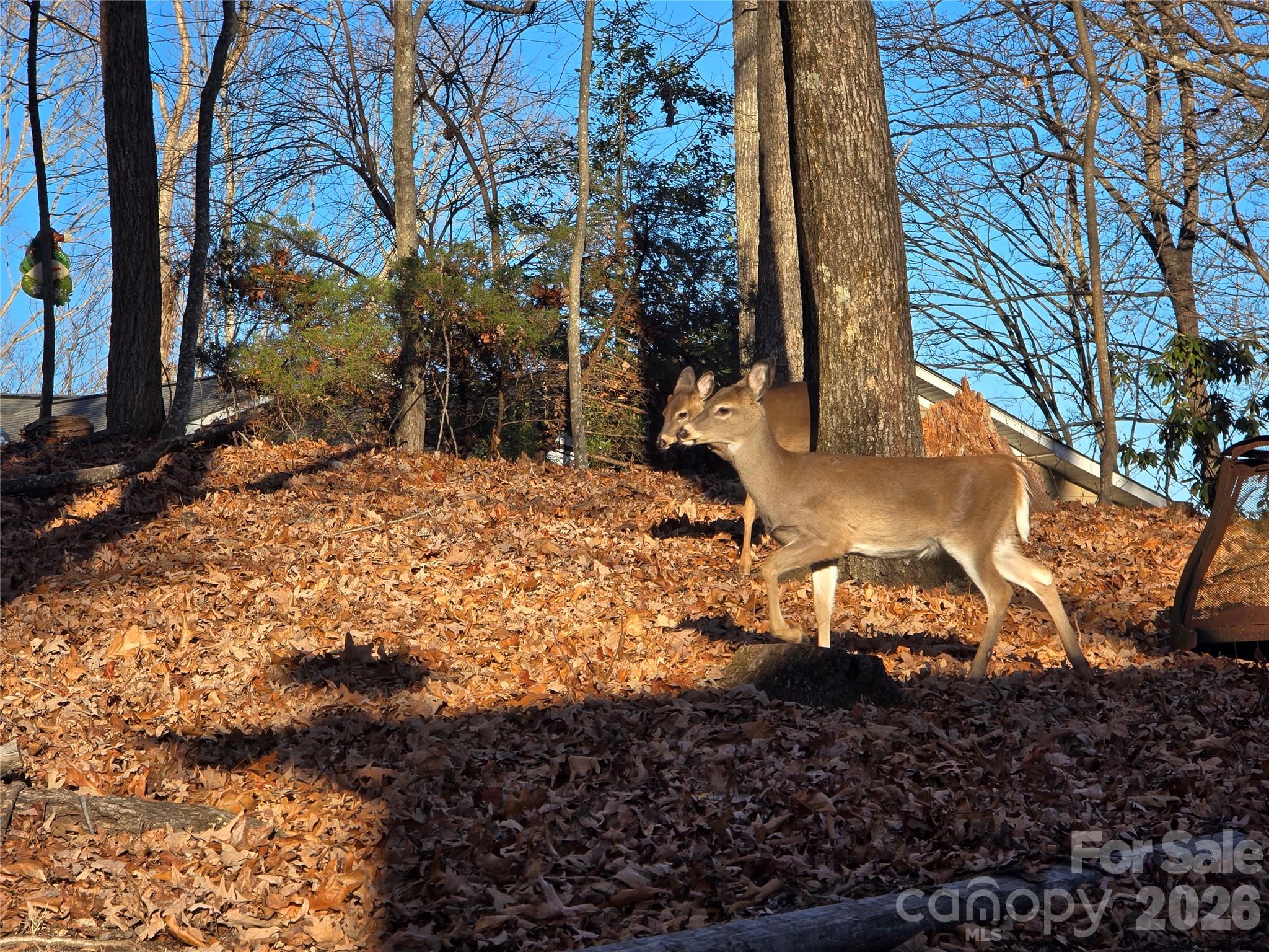 High Vista - Residential