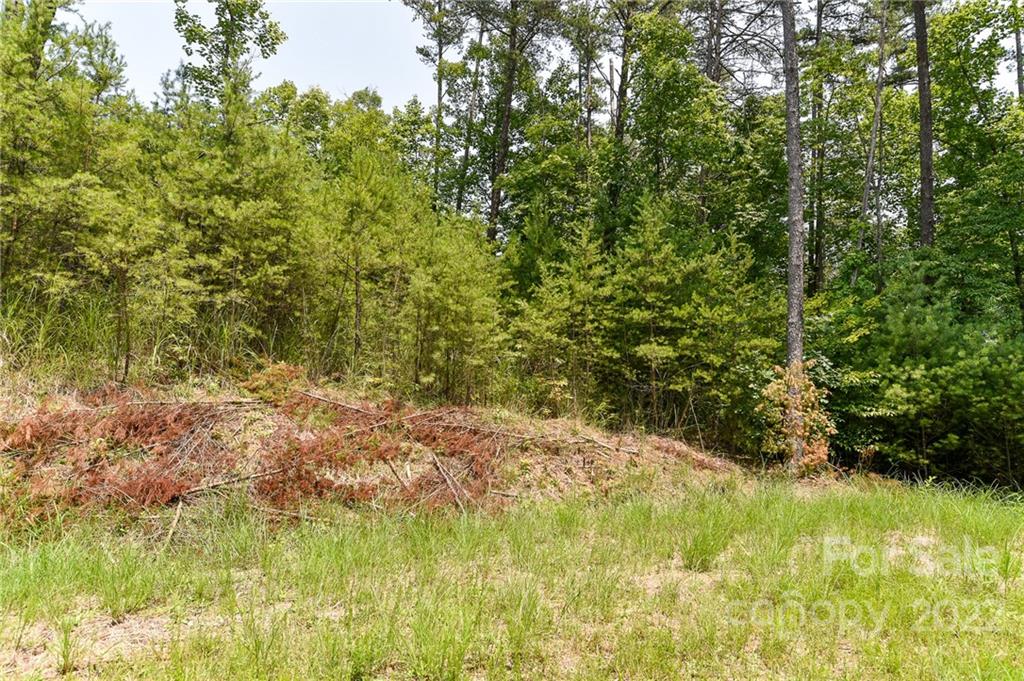 Lot 4 The Vines Boulevard Lot 4