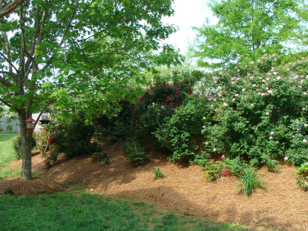 Forest Oaks - Residential