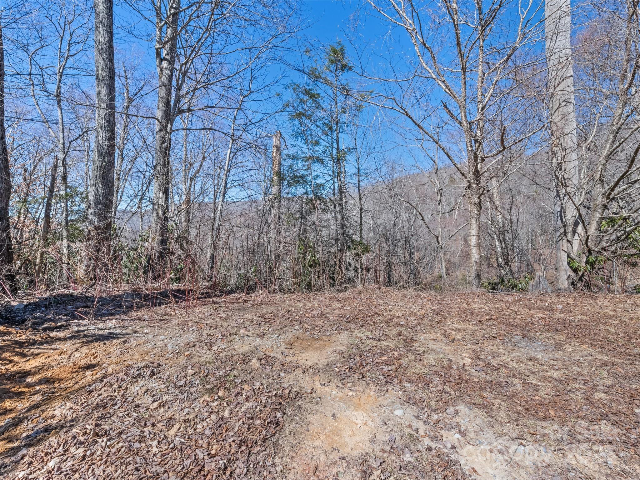 Cranberry Falls - Land