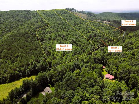 Lot 3 Mount Gilead Church Road 3 Connelly Springs NC 28612