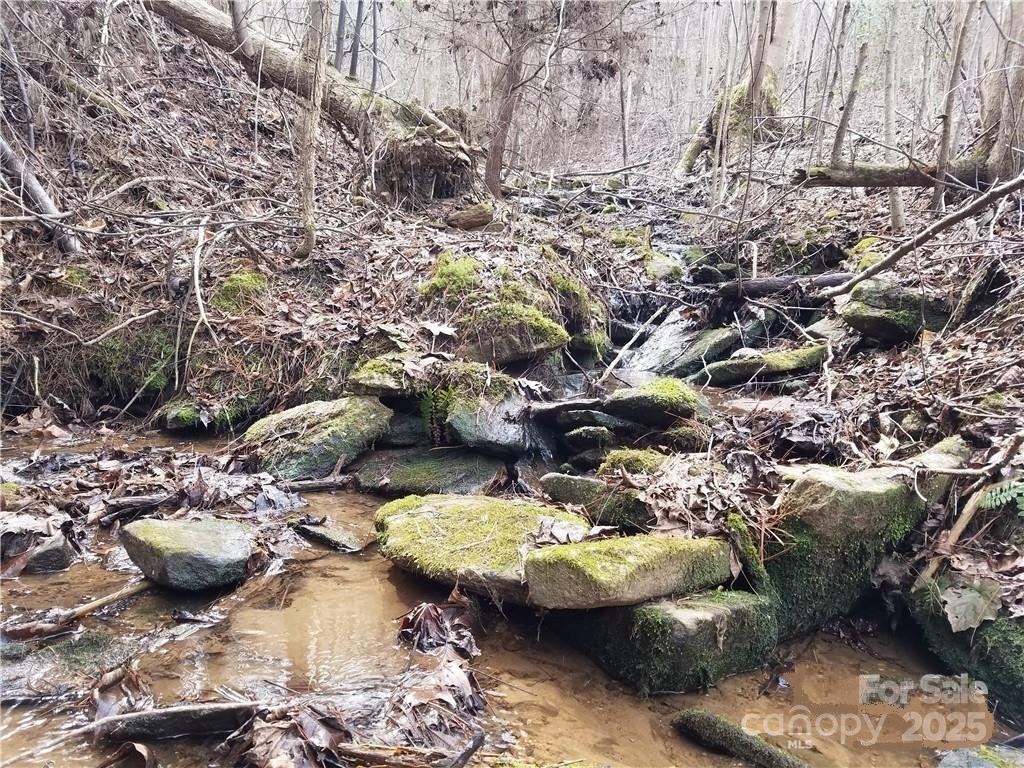 Lot 3 Mount Gilead Church Road 3