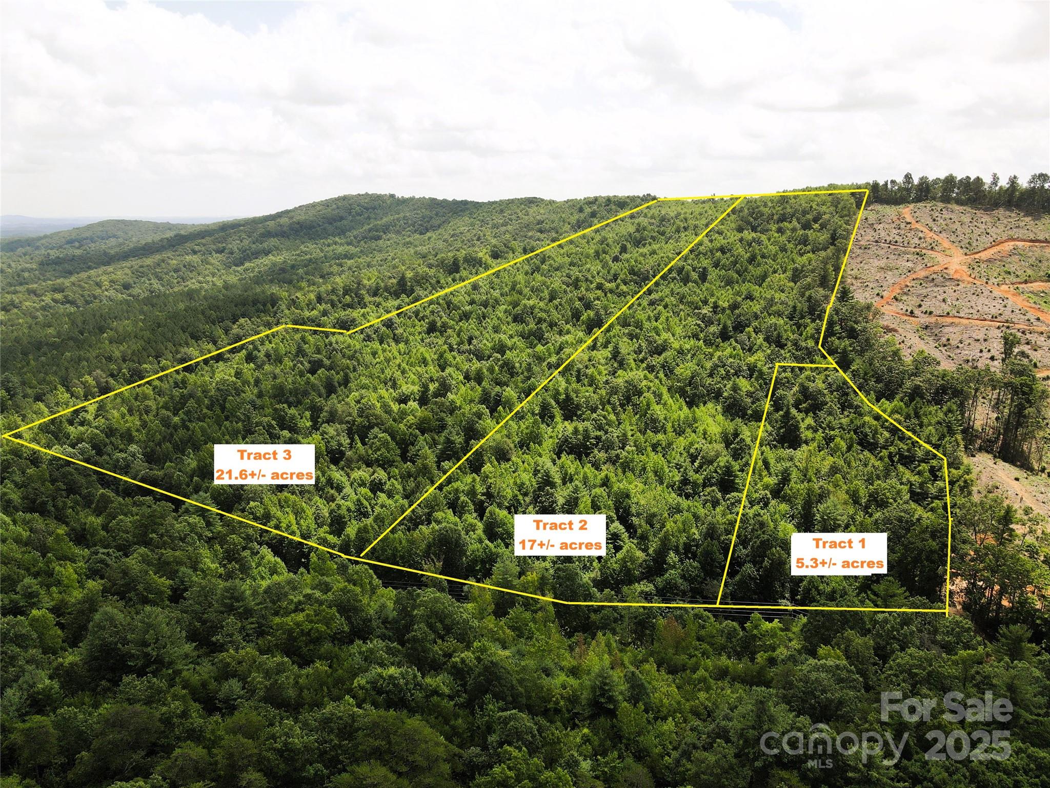 Lot 3 Mount Gilead Church Road 3