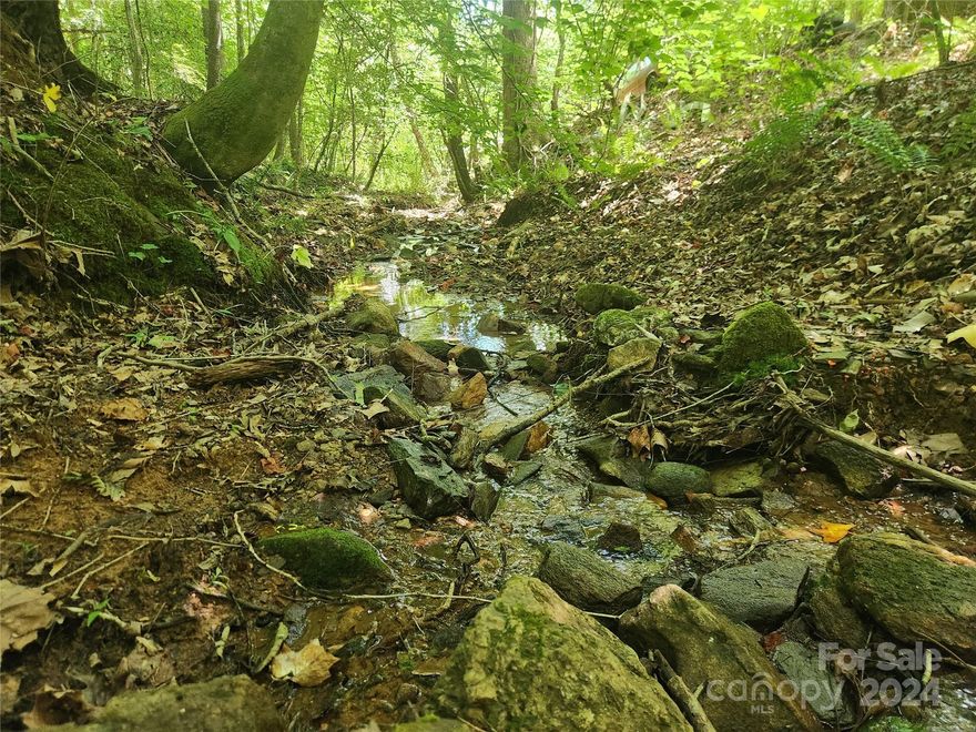 Wilkes County Wooded 37.83 GIS unrestricted acres - less than 2 miles south from main intersection of Hwy 18 and Russell Gap Road in Boomer and Boomer Post Office. Excellent stream that feeds main branch across the road from this property.  Abundant wildlife, great for hunting, camping, recreation, or build a dream home with great views after clearing.  Recommend a phone app such as Landglide to walk property to understand approximate property lines.