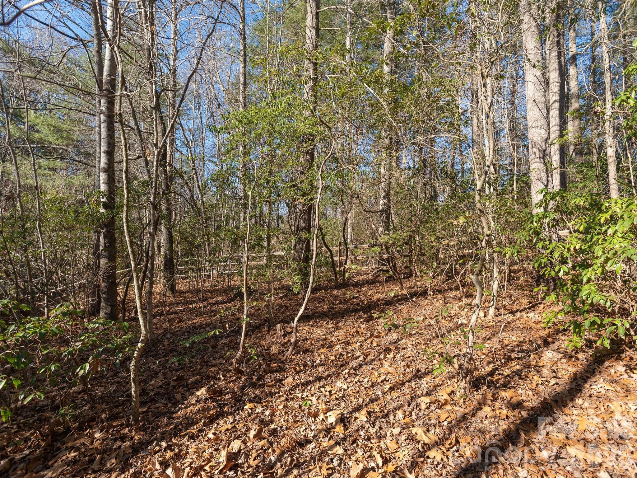 Timber Creek - Residential