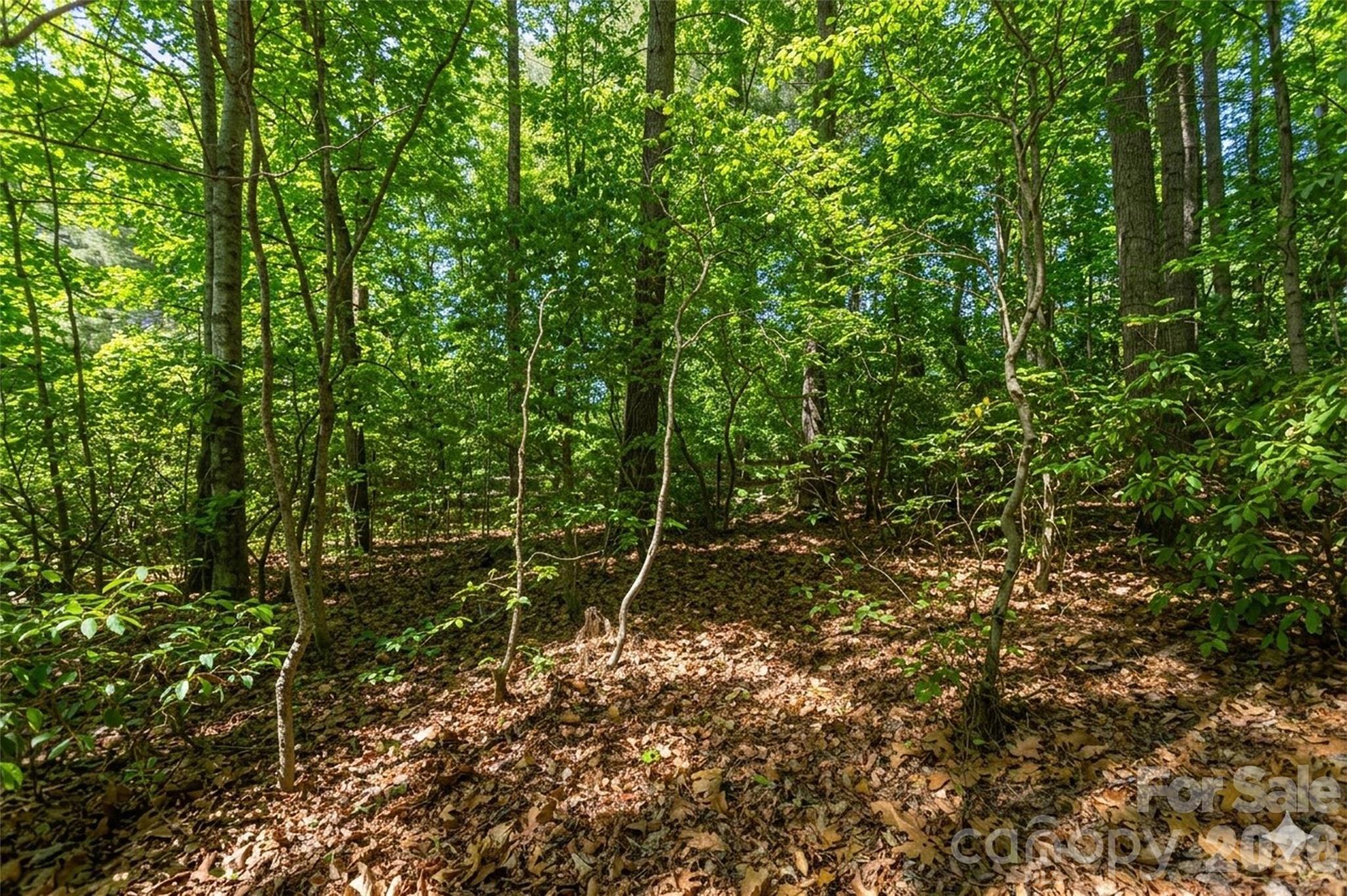 Timber Creek - Residential