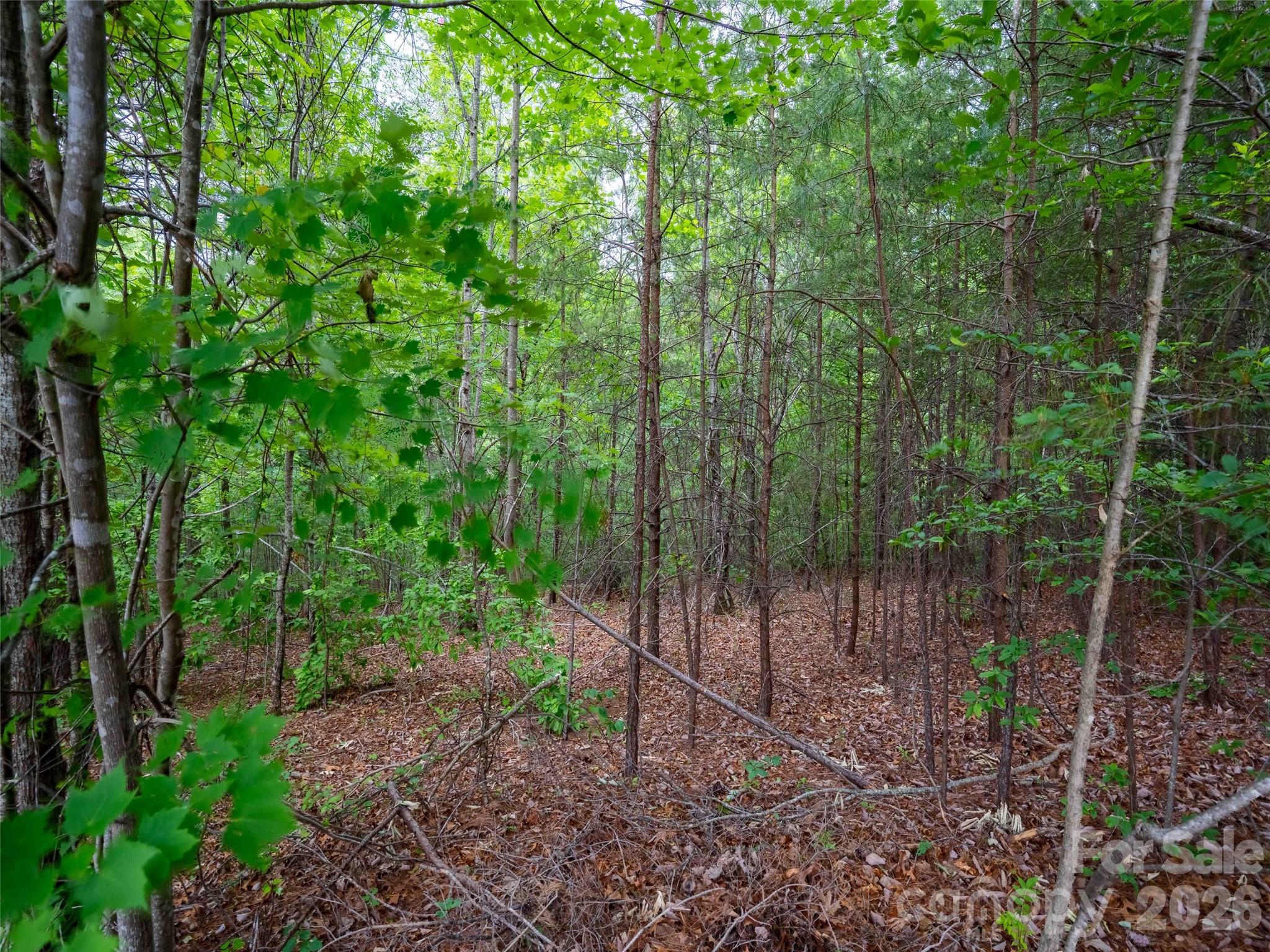 LOT 2009 Deep Gap Farm Road W