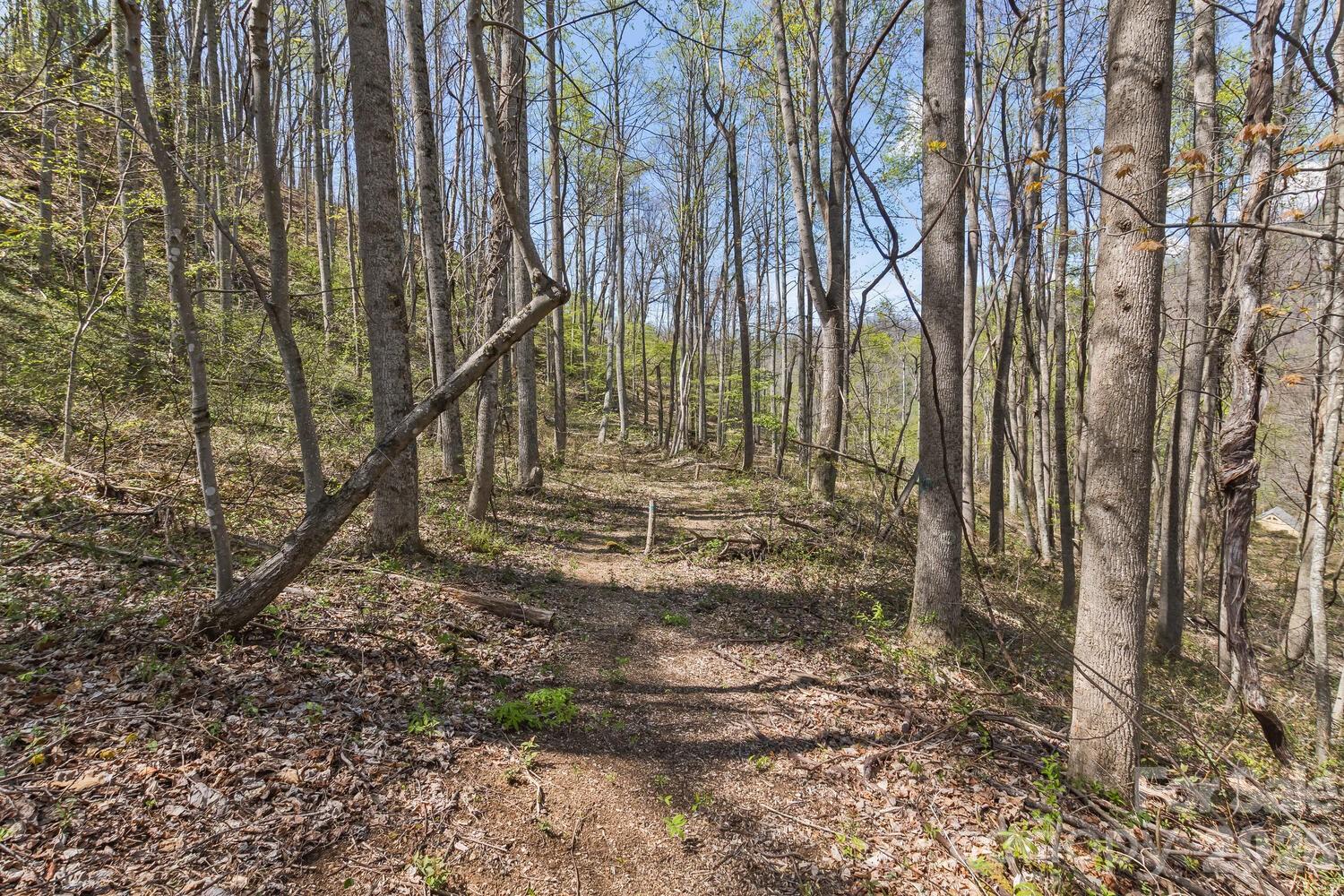 Richland Knob - Residential