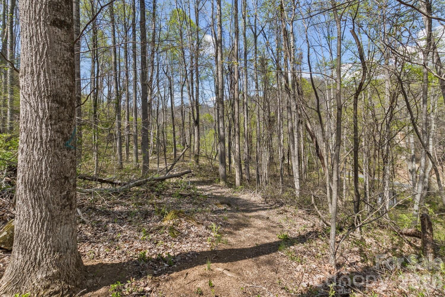 Richland Knob - Residential