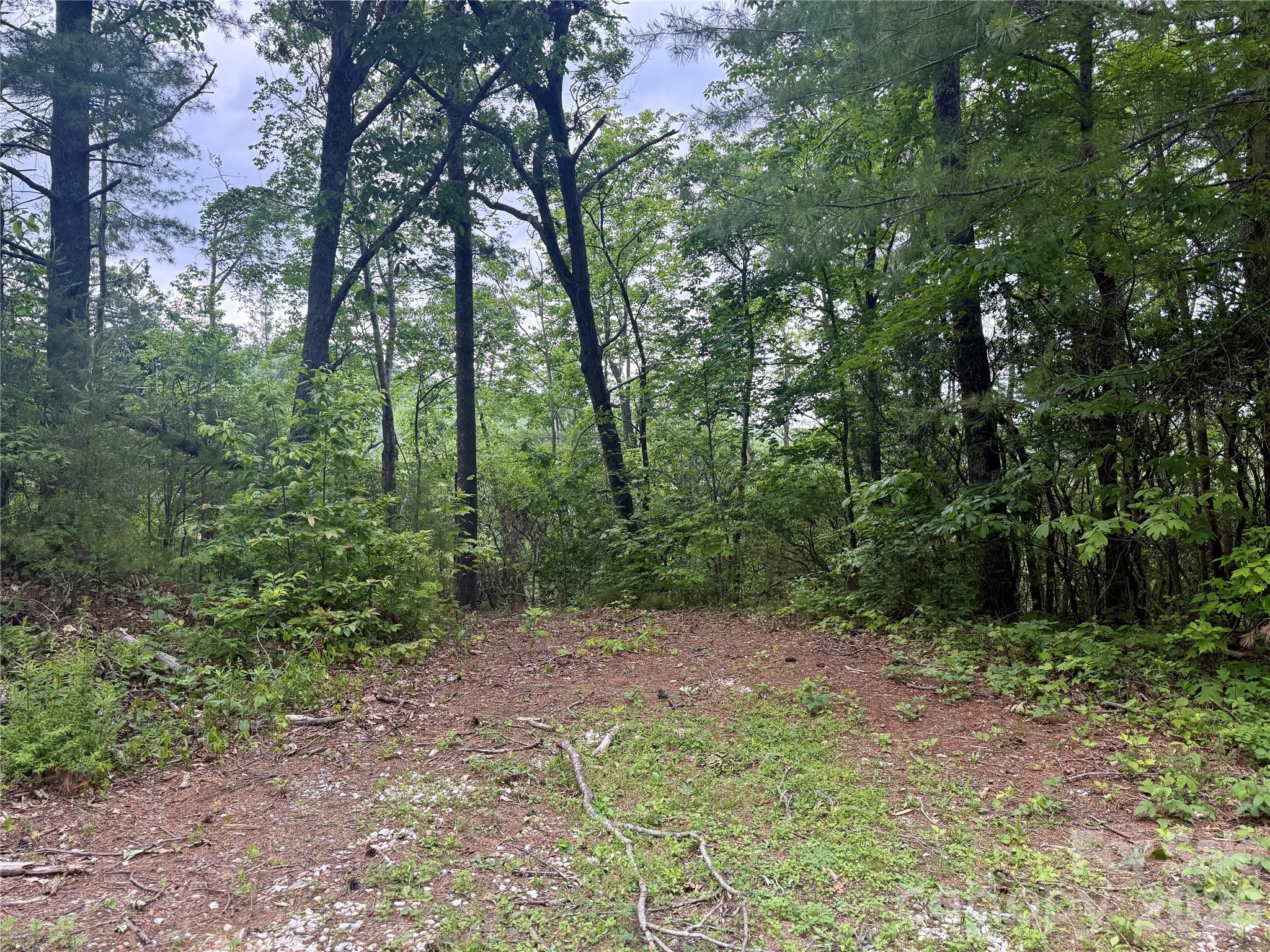 Humpback Mountain - Land