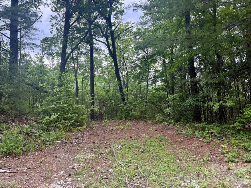 2.08 Acres in Humpback Mountain – Your Home Base for Mountain Adventure

Welcome to your slice of Western North Carolina —2.08 private, wooded acres perched alongside NC owned land. Tucked into a quiet mountain community just one mile from the Blue Ridge Parkway, this property is a great find for those who crave fresh air and endless adventure.

With gentle topography and potential  mountain views with selective clearing, this land is ready for your dream cabin, weekend retreat, or full-time mountain basecamp. Whether you're hiking nearby trails, biking the Parkway, casting a line in local streams, or simply soaking in the serene surroundings, this is where your outdoor lifestyle begins.

No steep switchbacks or off-road vehicles needed—just peaceful, easy mountain living with unbeatable proximity to some of WNC’s best recreation spots.

.