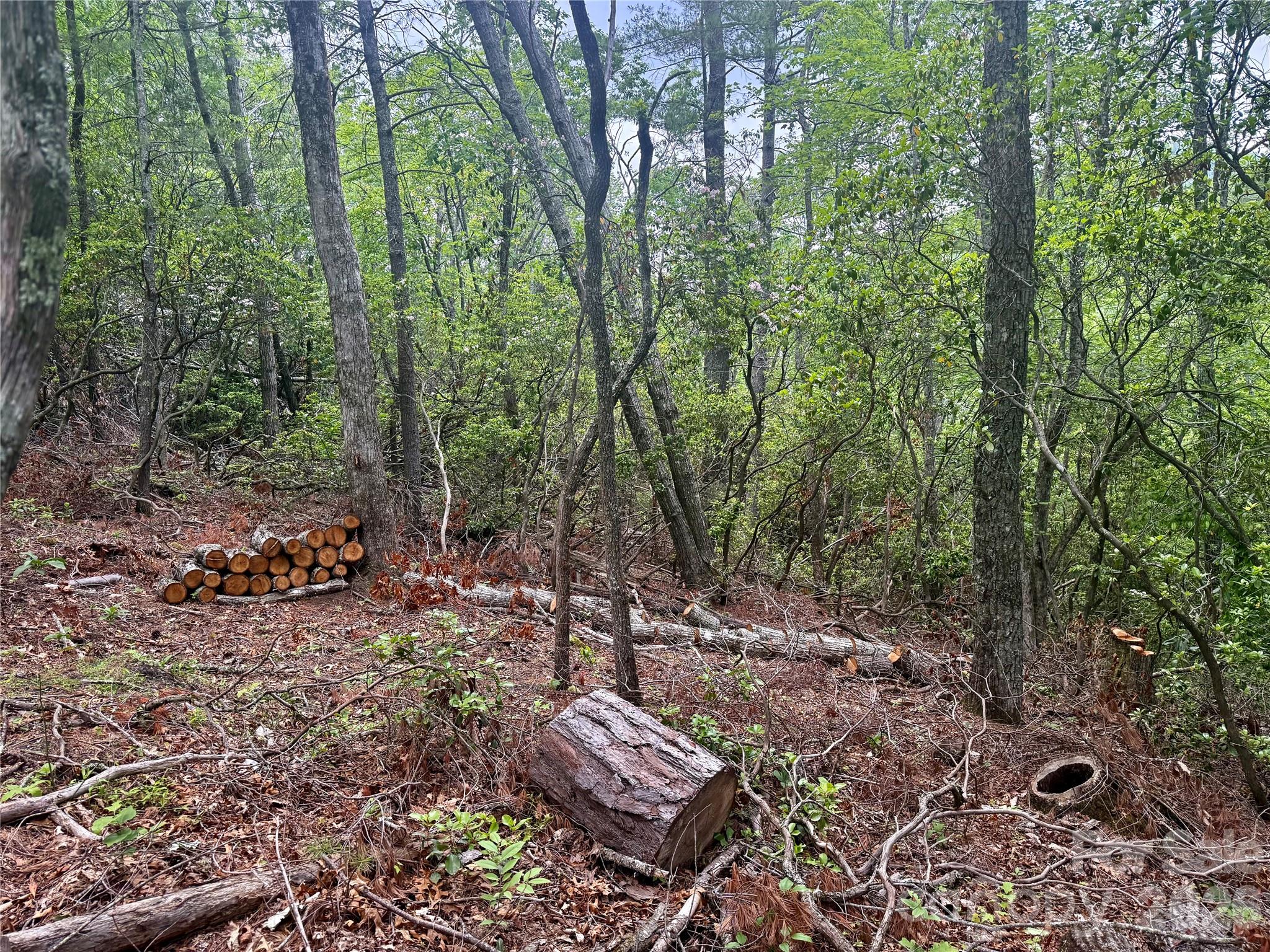 Humpback Mountain - Land