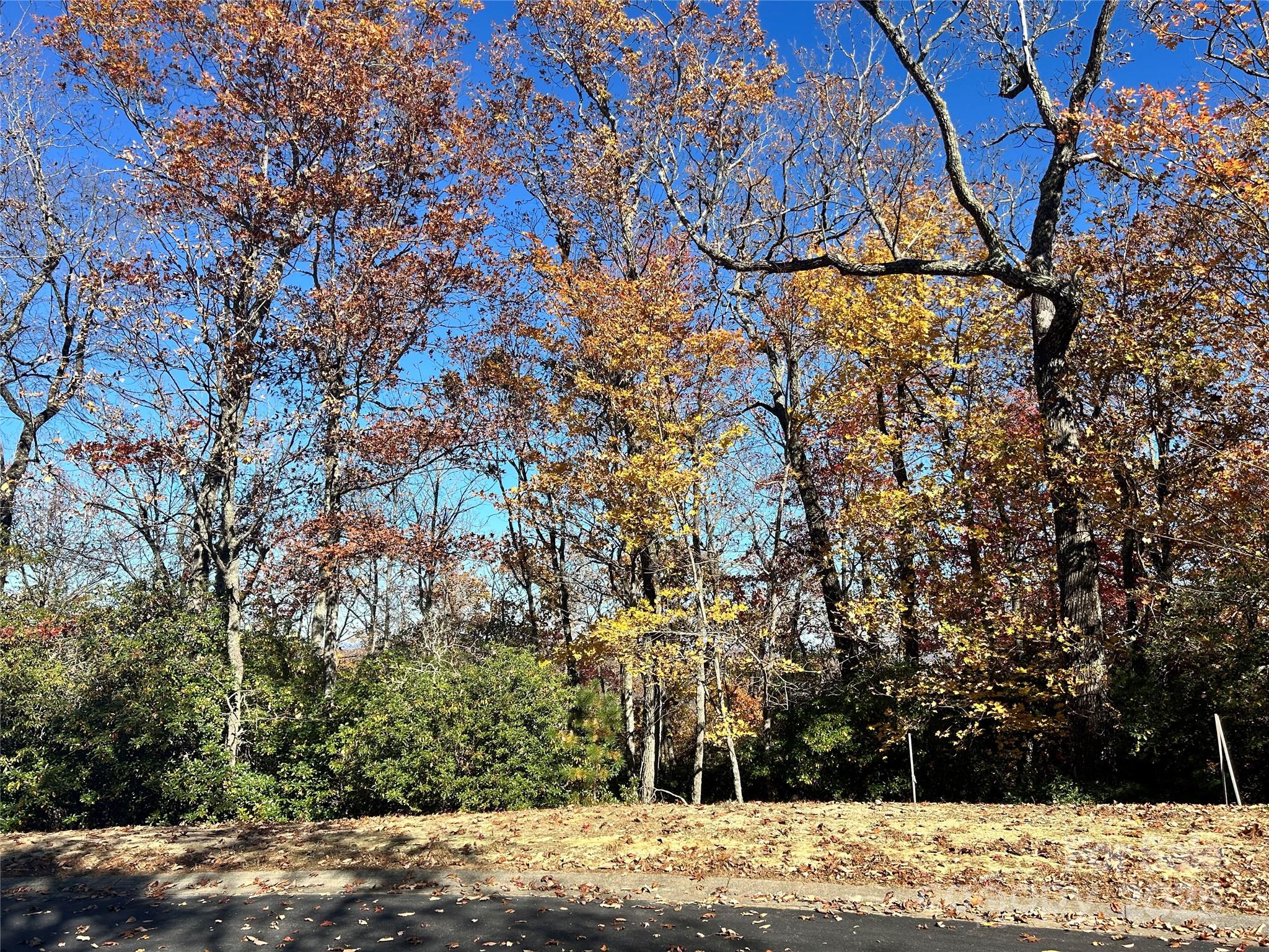 1114 Mills River Way