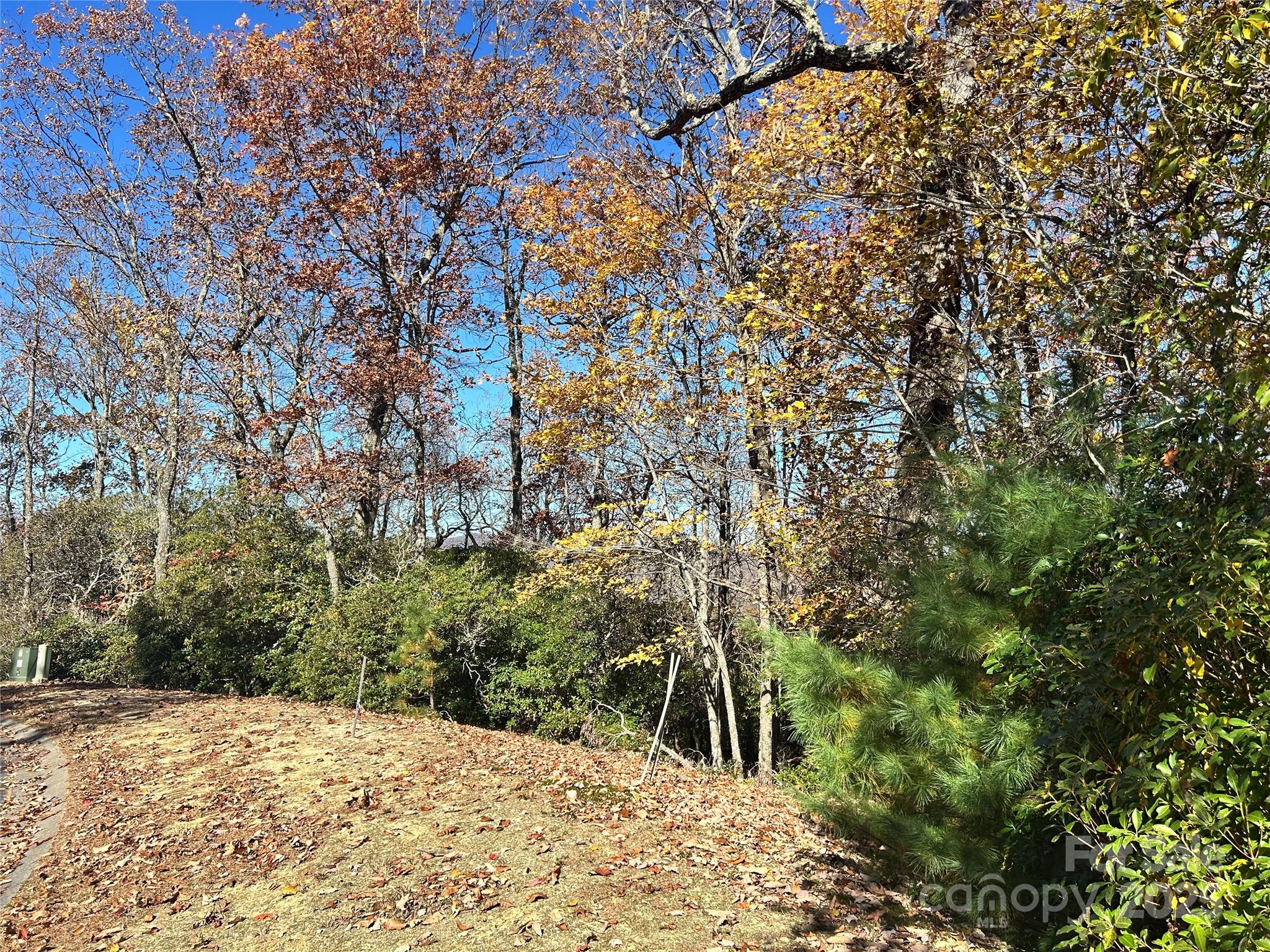 1114 Mills River Way