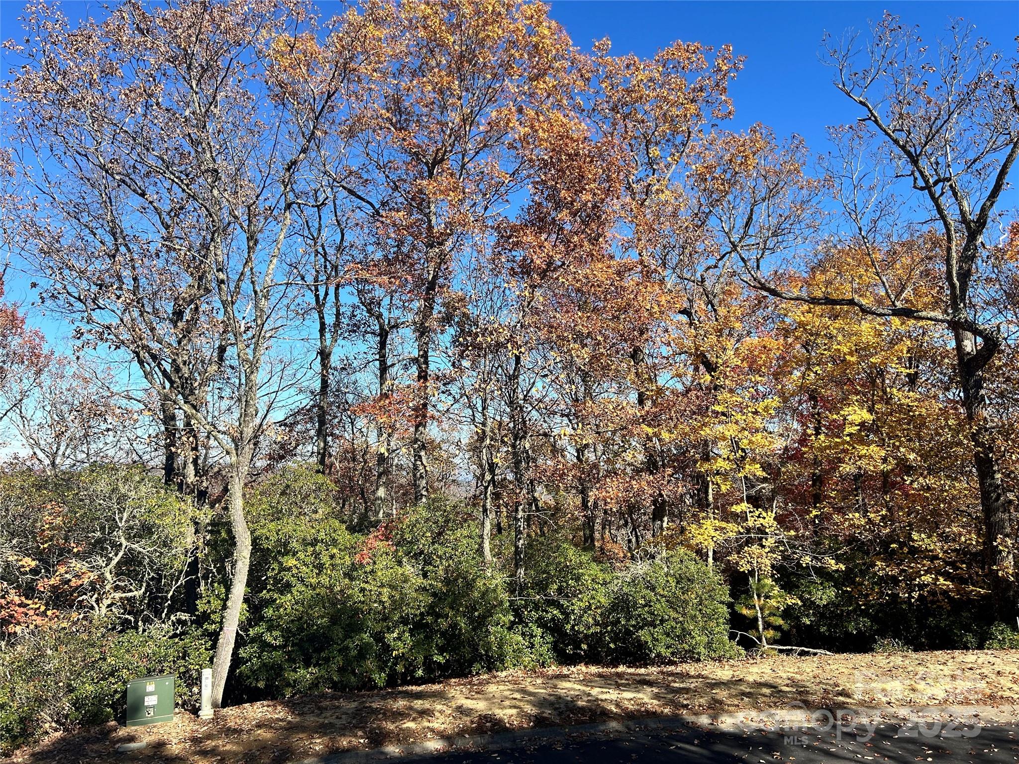 1114 Mills River Way