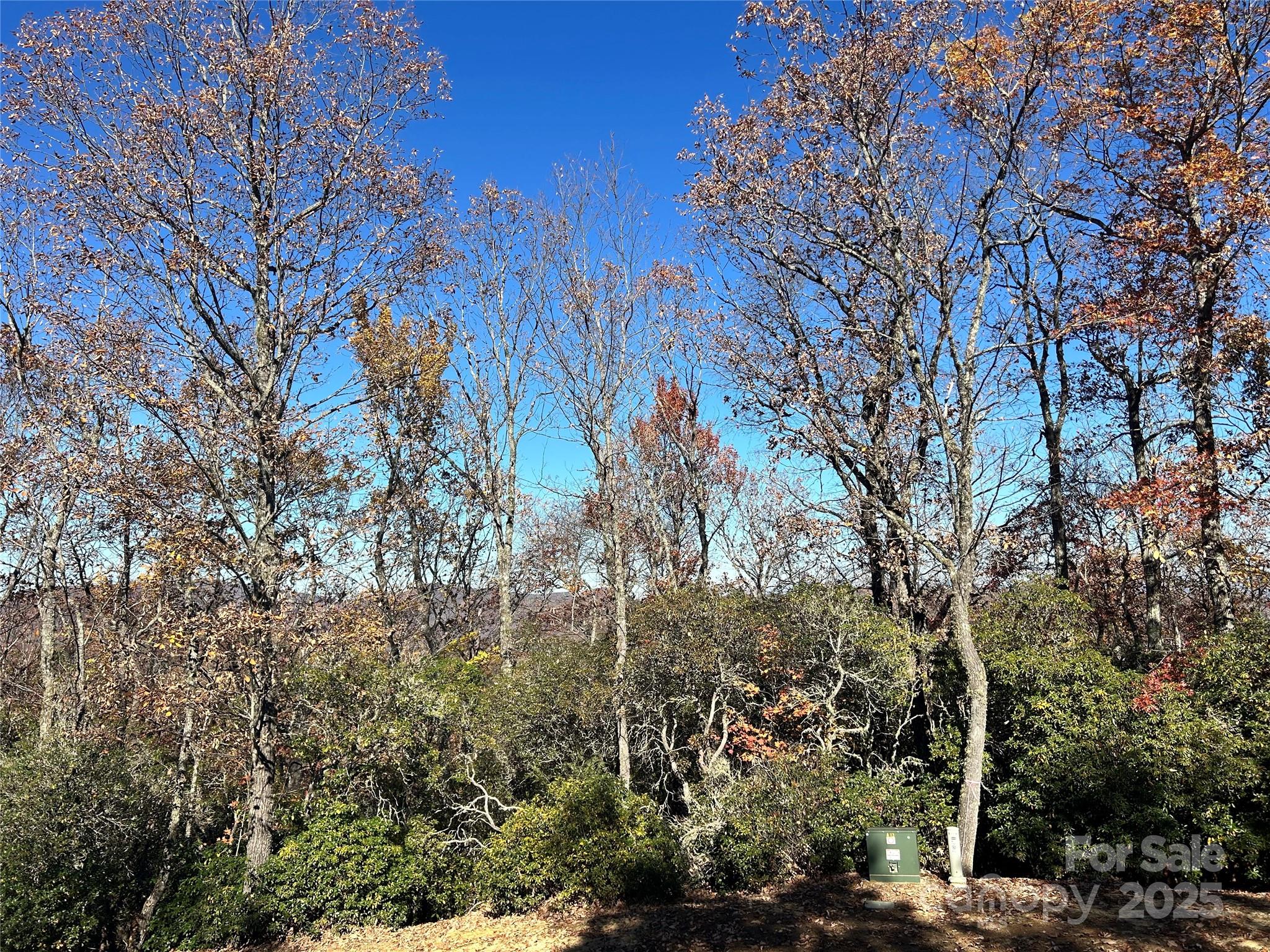 Homestead At Mills River - Land