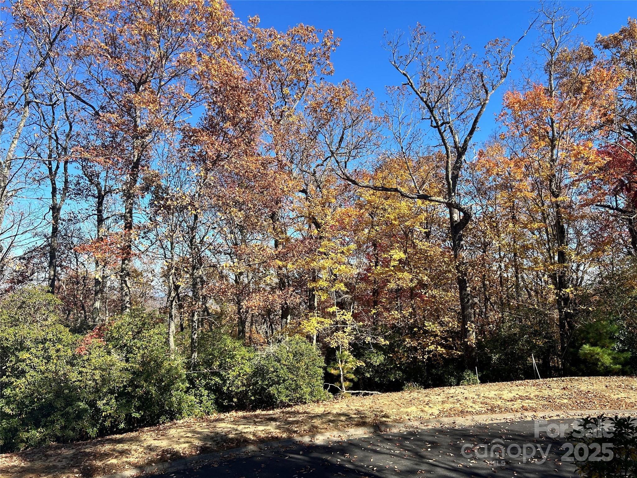 Homestead At Mills River - Land