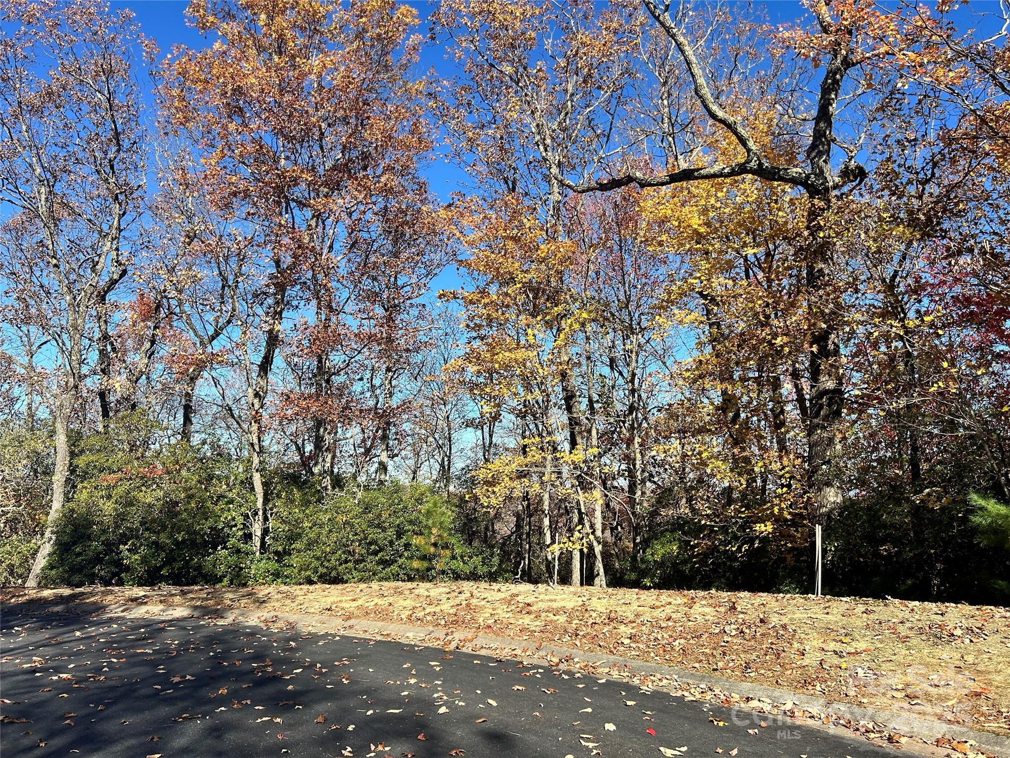 1114 Mills River Way