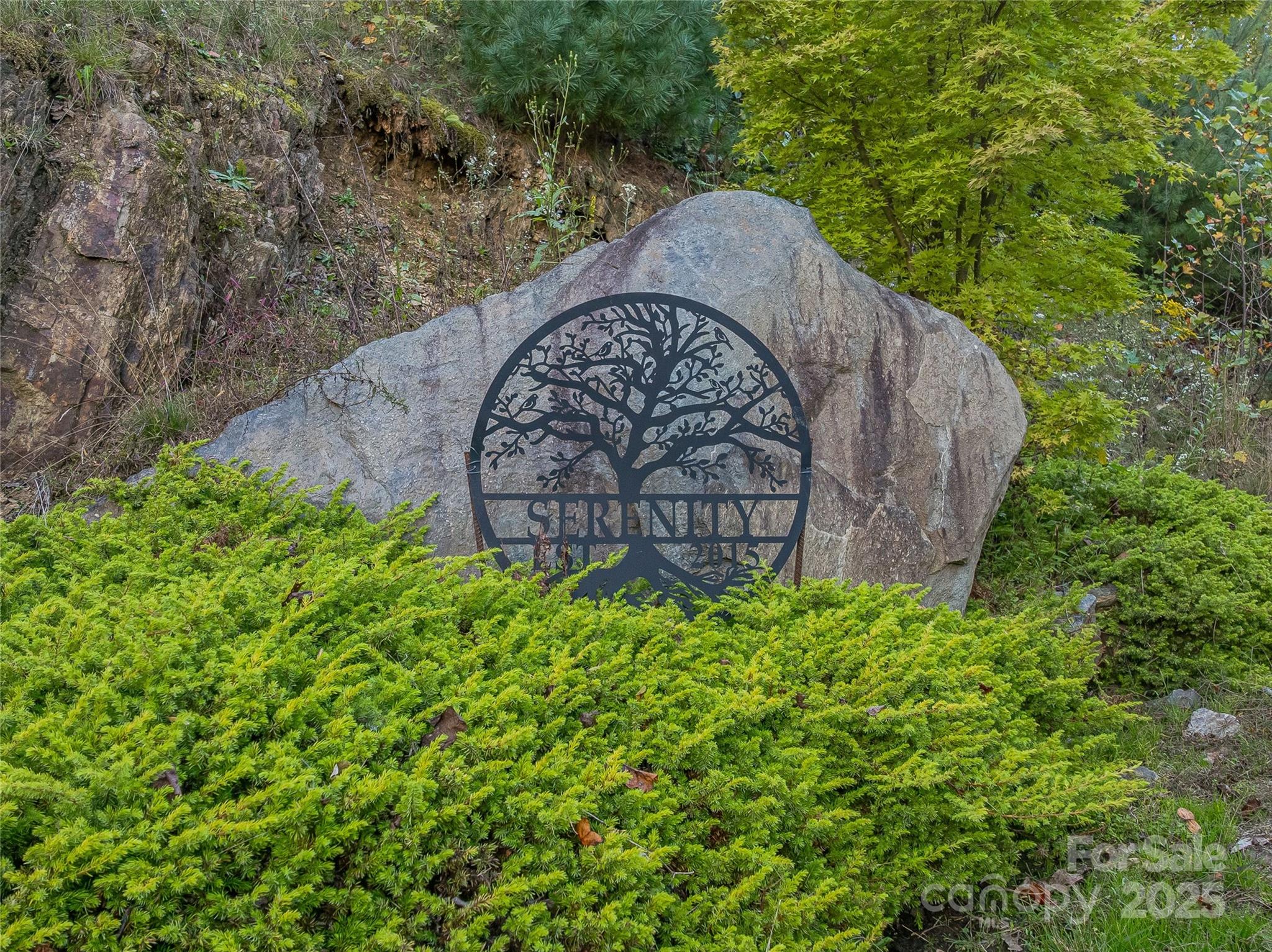 273 Serenity Ridge Trail 36