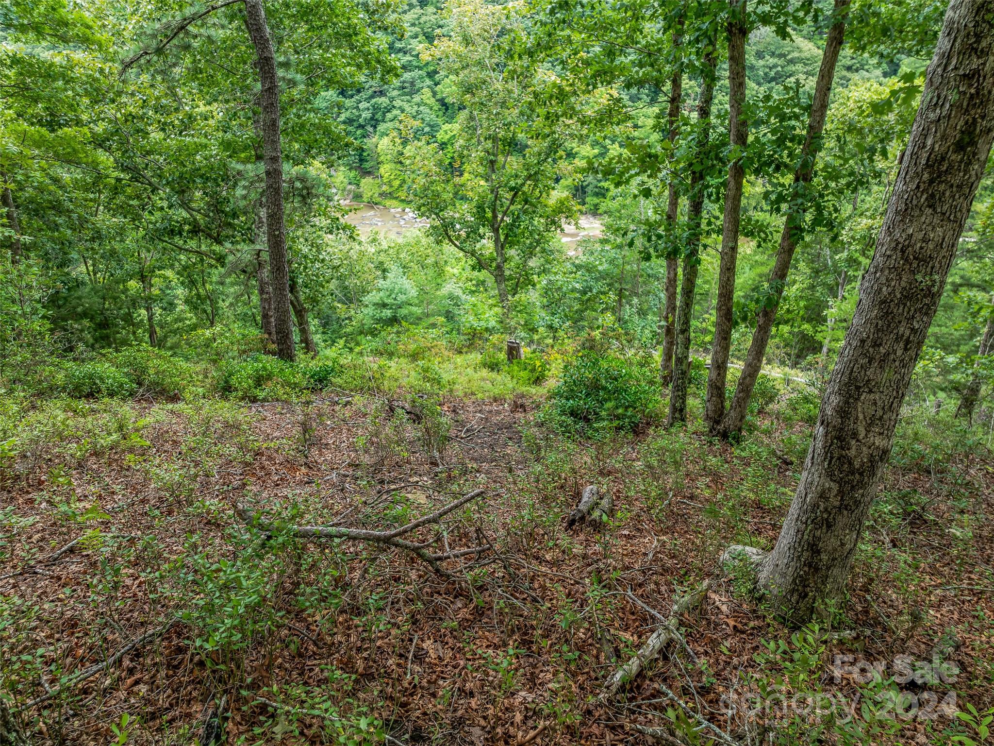 French Broad Crossing - Land