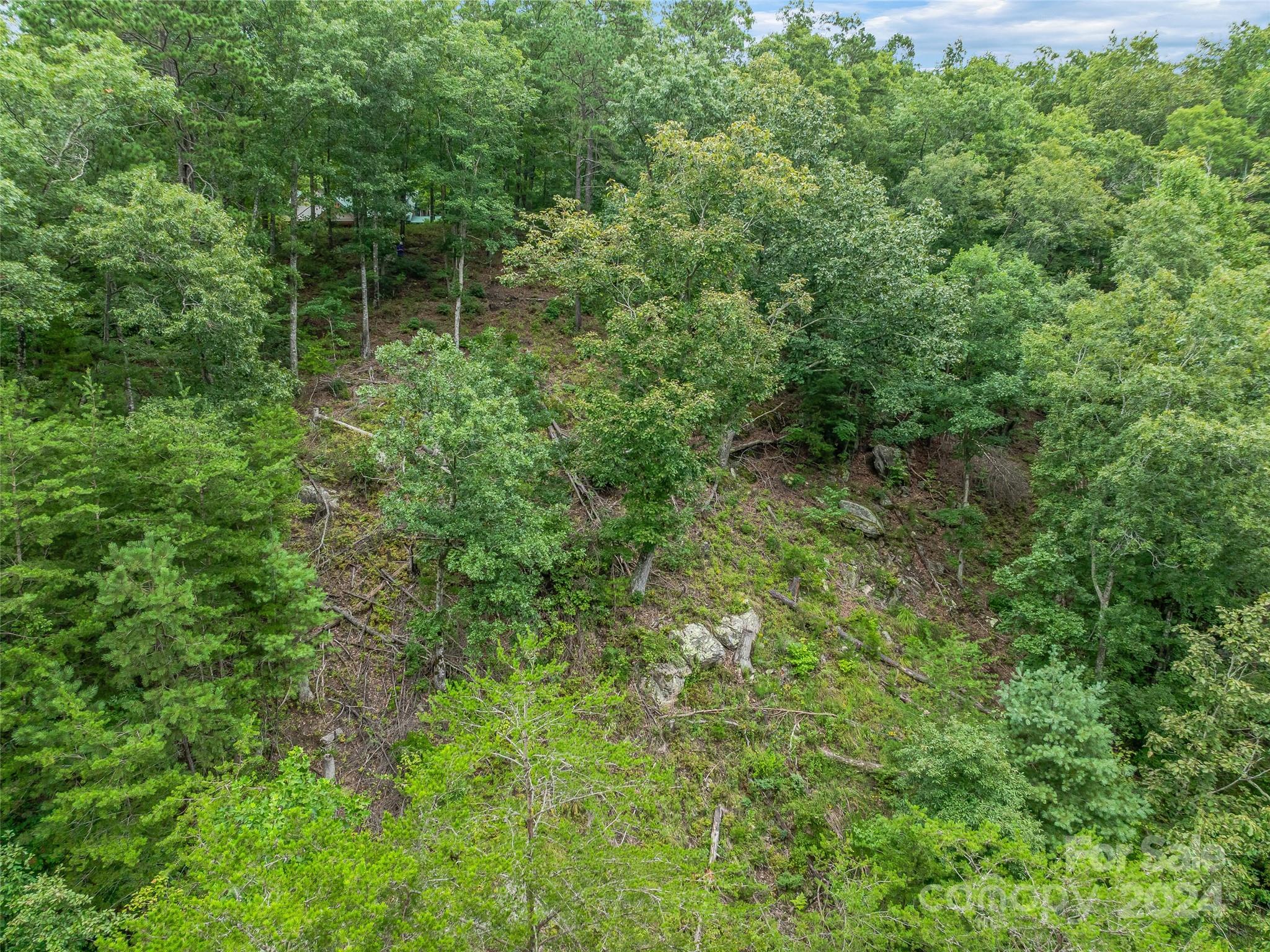 French Broad Crossing - Land