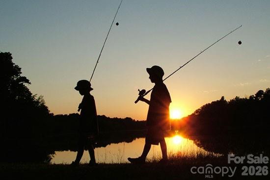 Tillery Tradition - Land