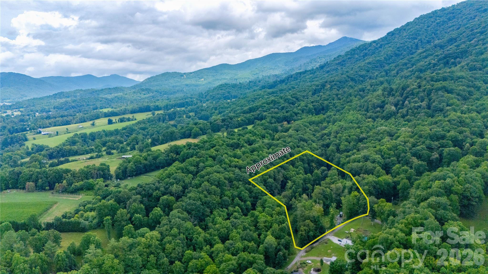 291 White Dogwood Lane