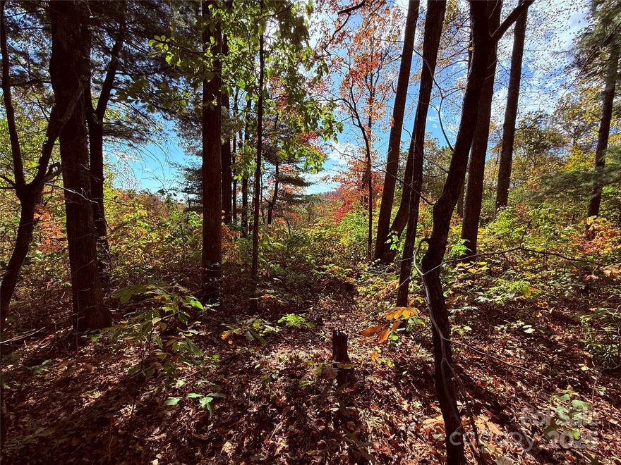 One of the flattest, builder and budget friendly lots in Kenmure. Lot has active septic permit, is ready to build upon and has a privacy screen of tall Leland cypress trees along Pinnacle Mountain Road. A very good value and a builder - consultation can be arranged with one of the Kenmure on - site agents. Please call to arrange to consult with a builder familiar with Kenmure (square footage minimum is 2,200 for a one - level home on a crawlspace) and on - site agents can assist.
Gorgeous 2.29-acre lot located in Kenmure - A gated 24-hour security community. Located close to Kenmure’s newest area of development and close to a back entrance and exit from Kenmure. Great building site - ideal for walk-out lower level, which affords privacy. Certainly one of the largest lots available at this price point in years. City water, natural gas & underground utilities. Kenmure amenities include clubhouse, fitness center, indoor & outdoor pool, tennis & golf. Social, Sport Memberships are optional.