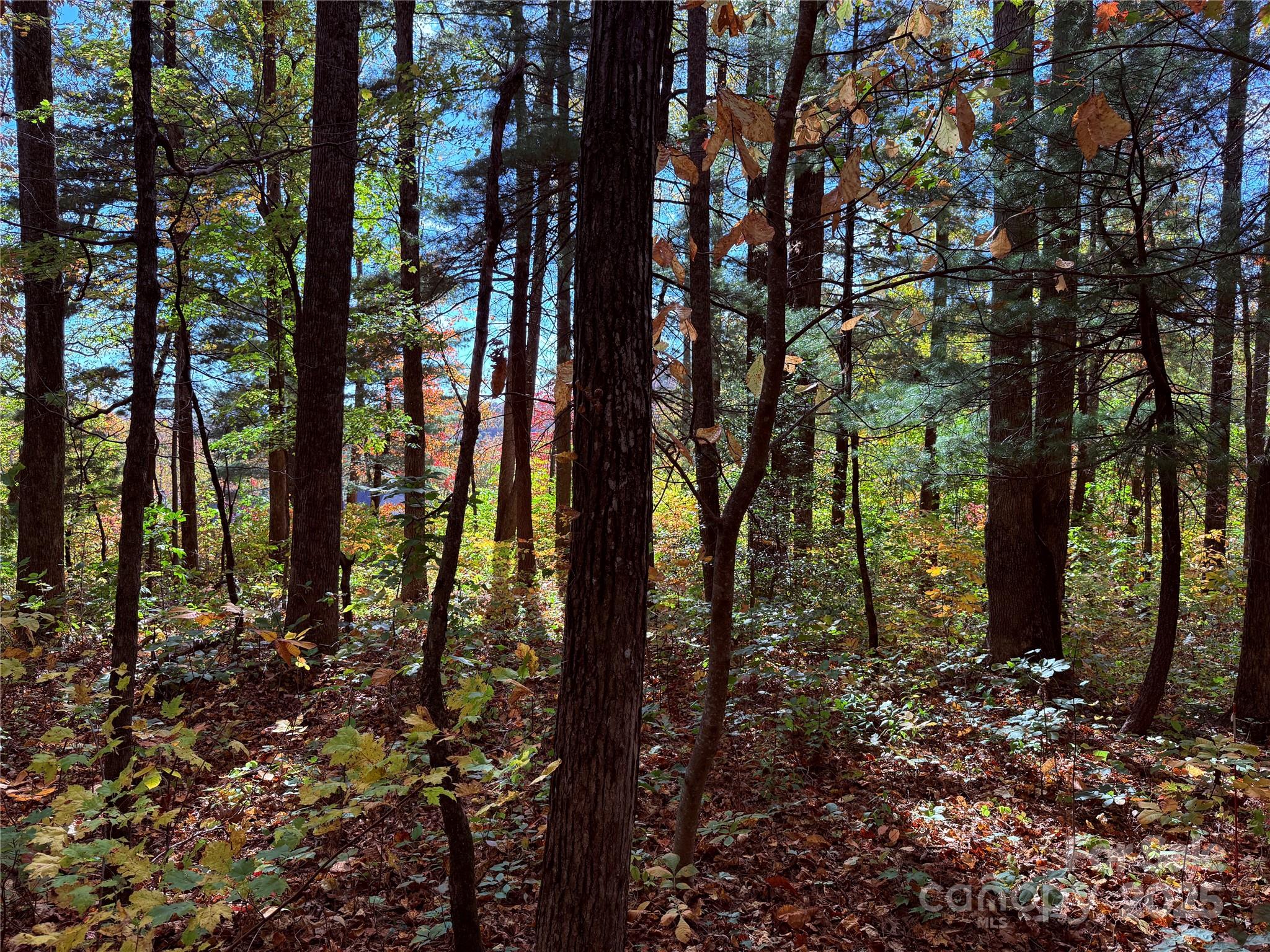 312 Hollybrook Drive S-1R