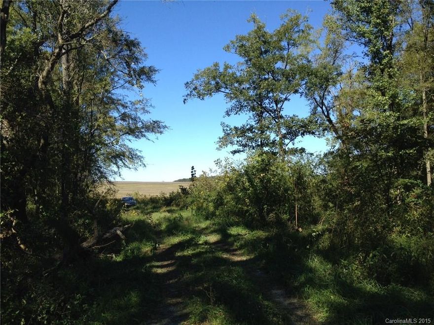 73+acres M/L Combined 3 parcels / Wonderful pastures, woods & creeks. County water available. Excellent horse property or potential for a subdivision. 1.5 miles to Stone Bridge golf course. Tax value is combined 3 parcels as pulled on 10-2-2015. Potential for additional acreage and property possibly available at additional costs. 100' road frontage (M/L) is an estimate. Potential for 600' additional road frontage off Doster Road at additional costs. All information must be verified by buyers.