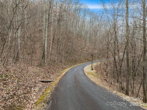 19 Mossy Rock Lane 76 Leicester NC 28748