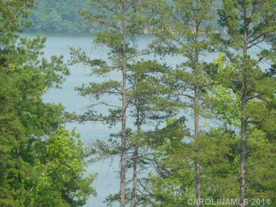 One Acre Setting - GREATLY REDUCED!  Due to market  it's a great buy  with a  deeded Boat Slip and lovely view of River.  Just 25 minutes south of Rock Hill and one hour to Charlotte.  For a week end "Hide Away" retreat or your home year round quiet Country Location with fishing year round.  Restrictions available.