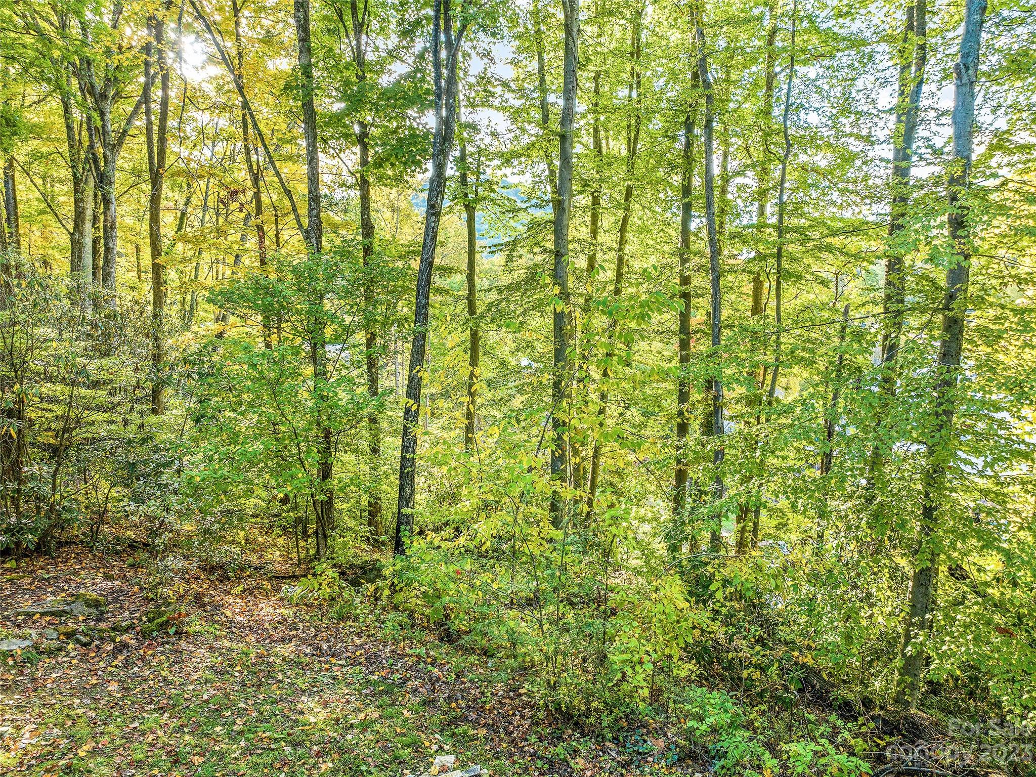 Holly Hills - Residential