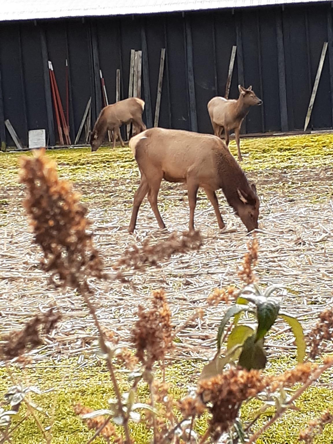 Village Glen - Residential