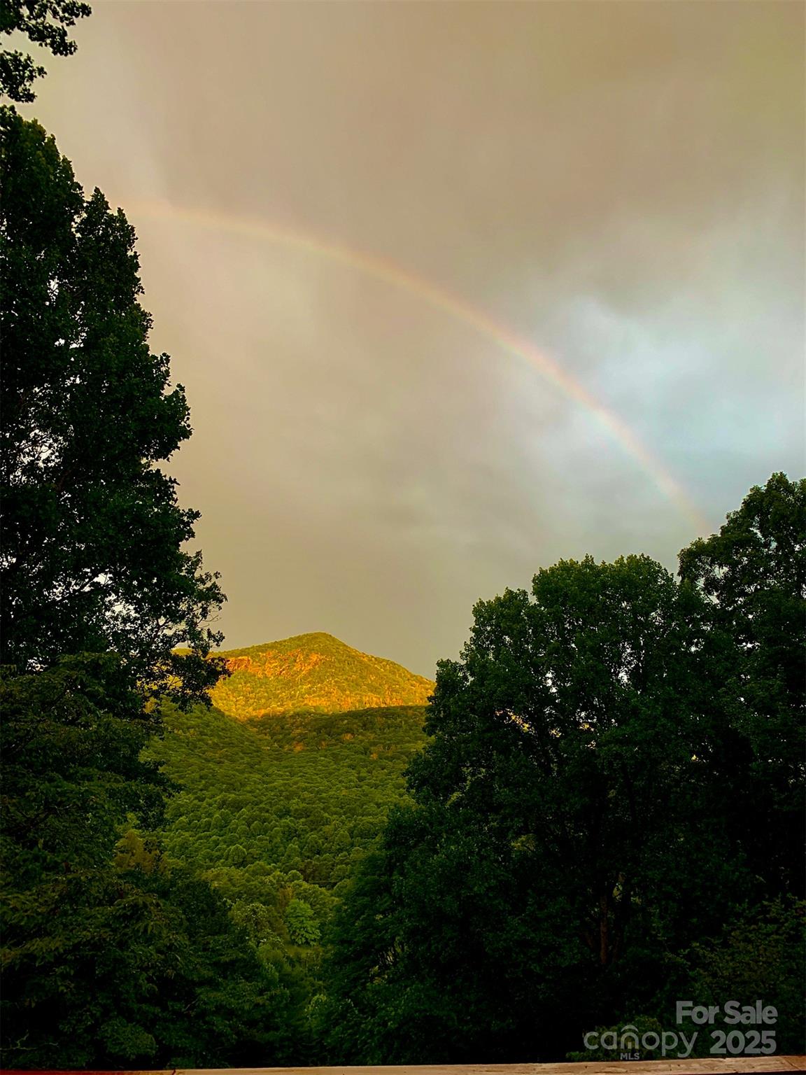 2636 Buck Mountain Road