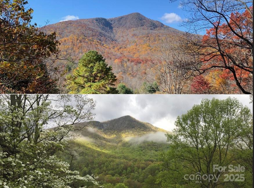 2636 Buck Mountain Road