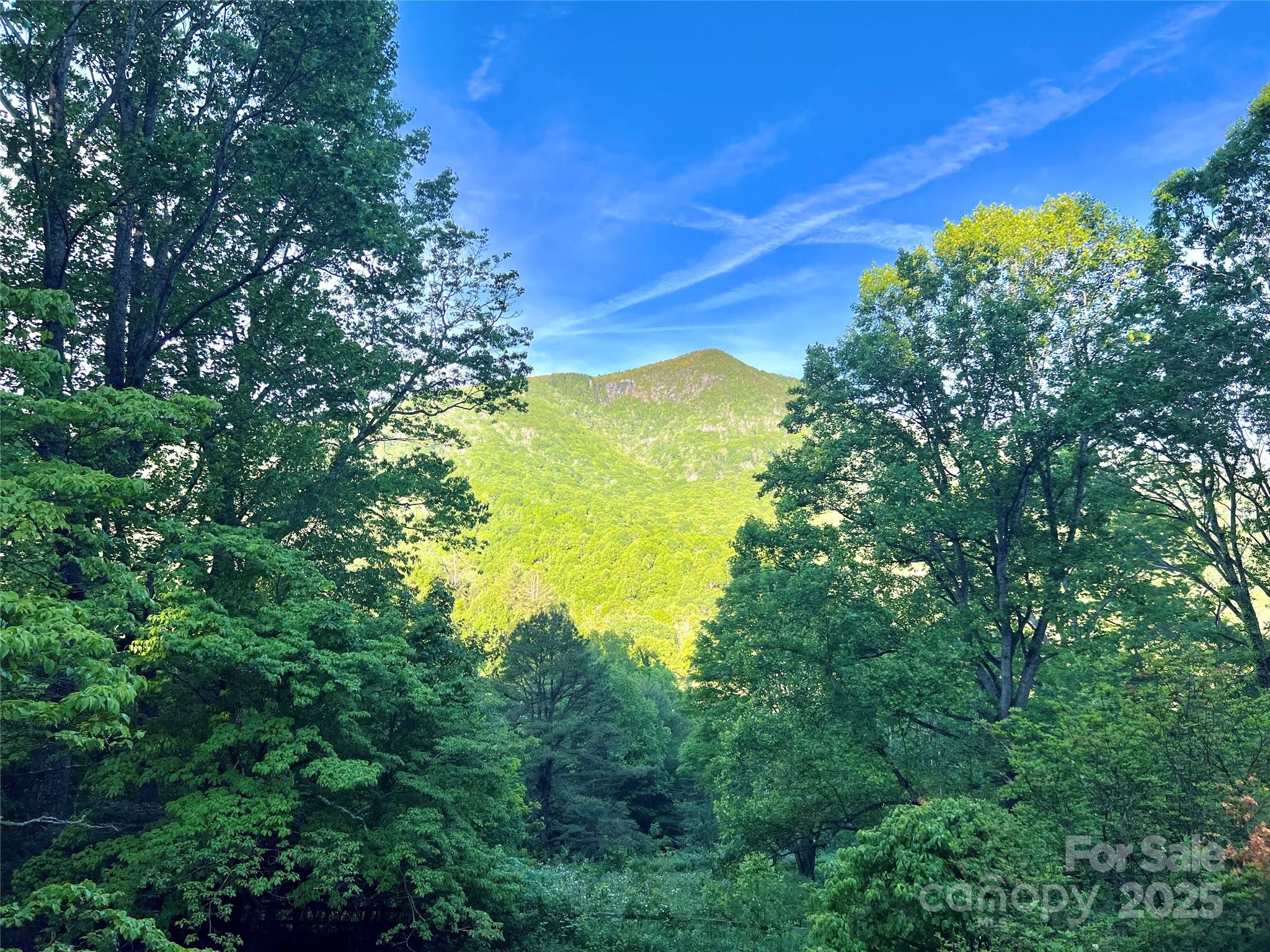 2636 Buck Mountain Road