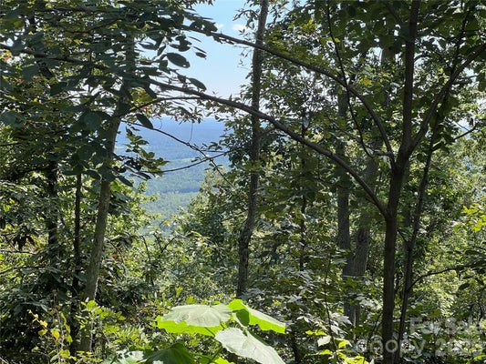 196 BRIGHTON DR, BOSTIC, NC 28018 - Image fe176d27aecf3edc2ac26dcf0d9c033d/1559481731
