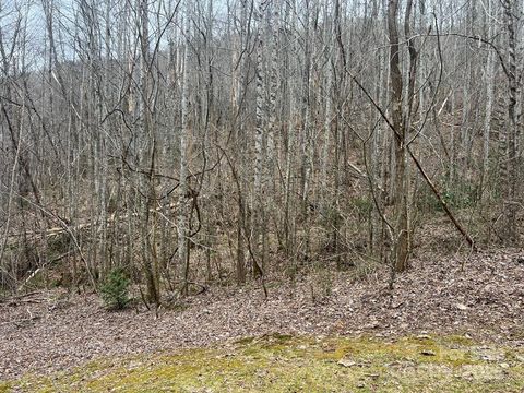 0 English Setter Trail Lot 8 Whittier NC 28789