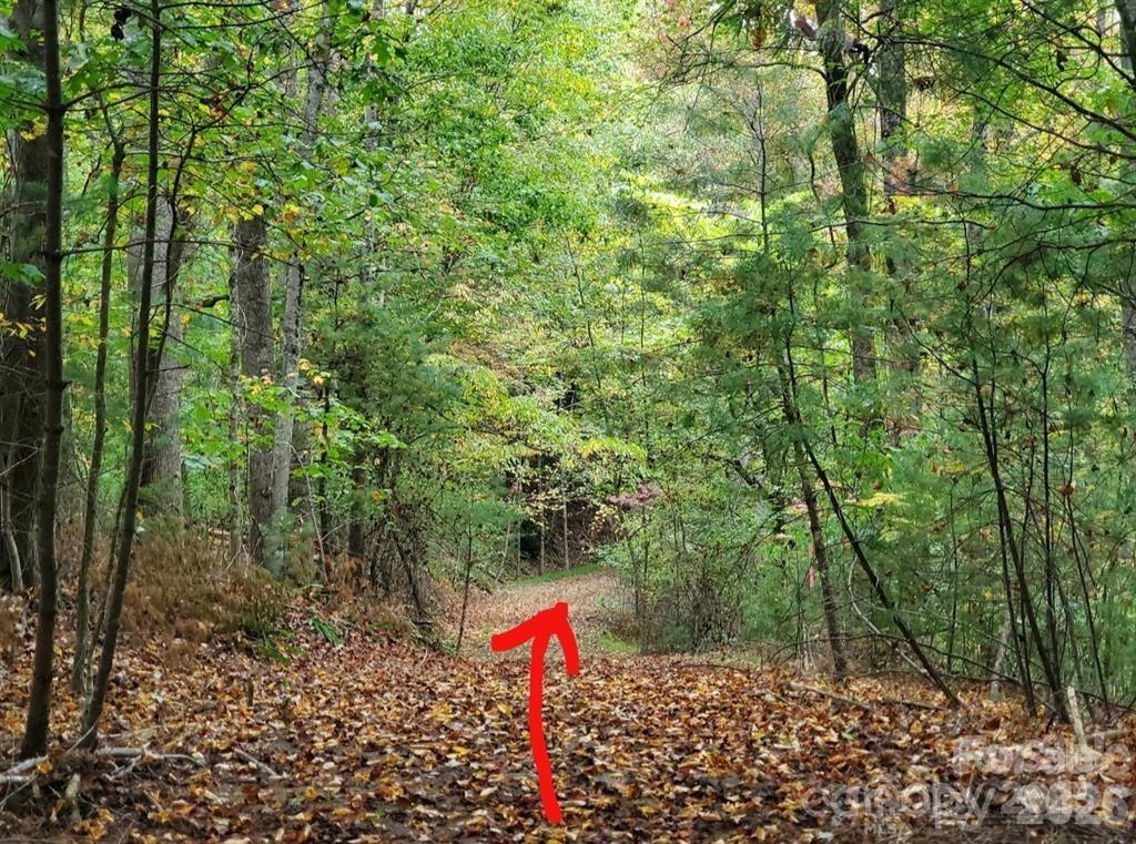 00 Hickory Wood Trail 20,21