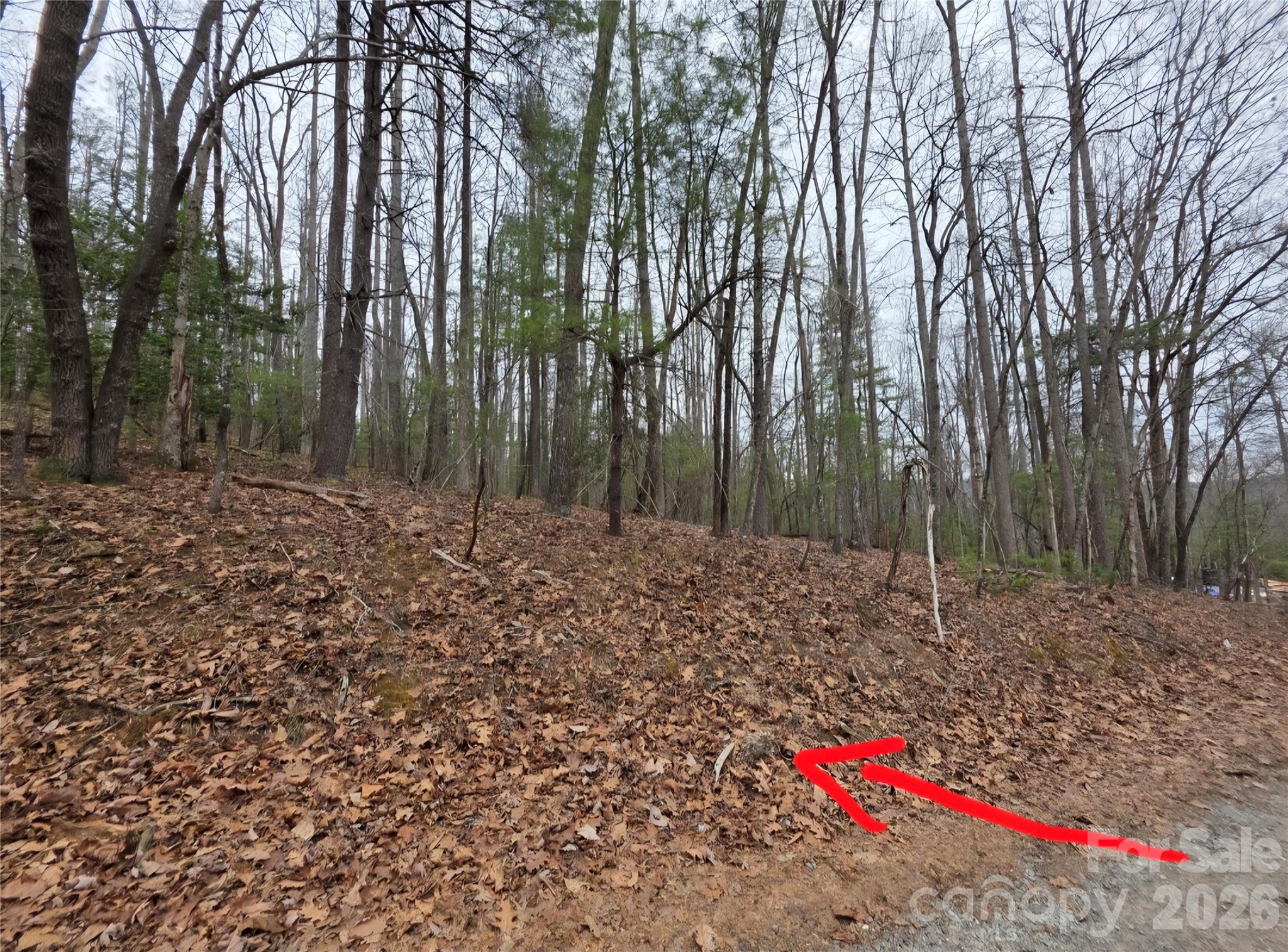 00 Hickory Wood Trail 20,21