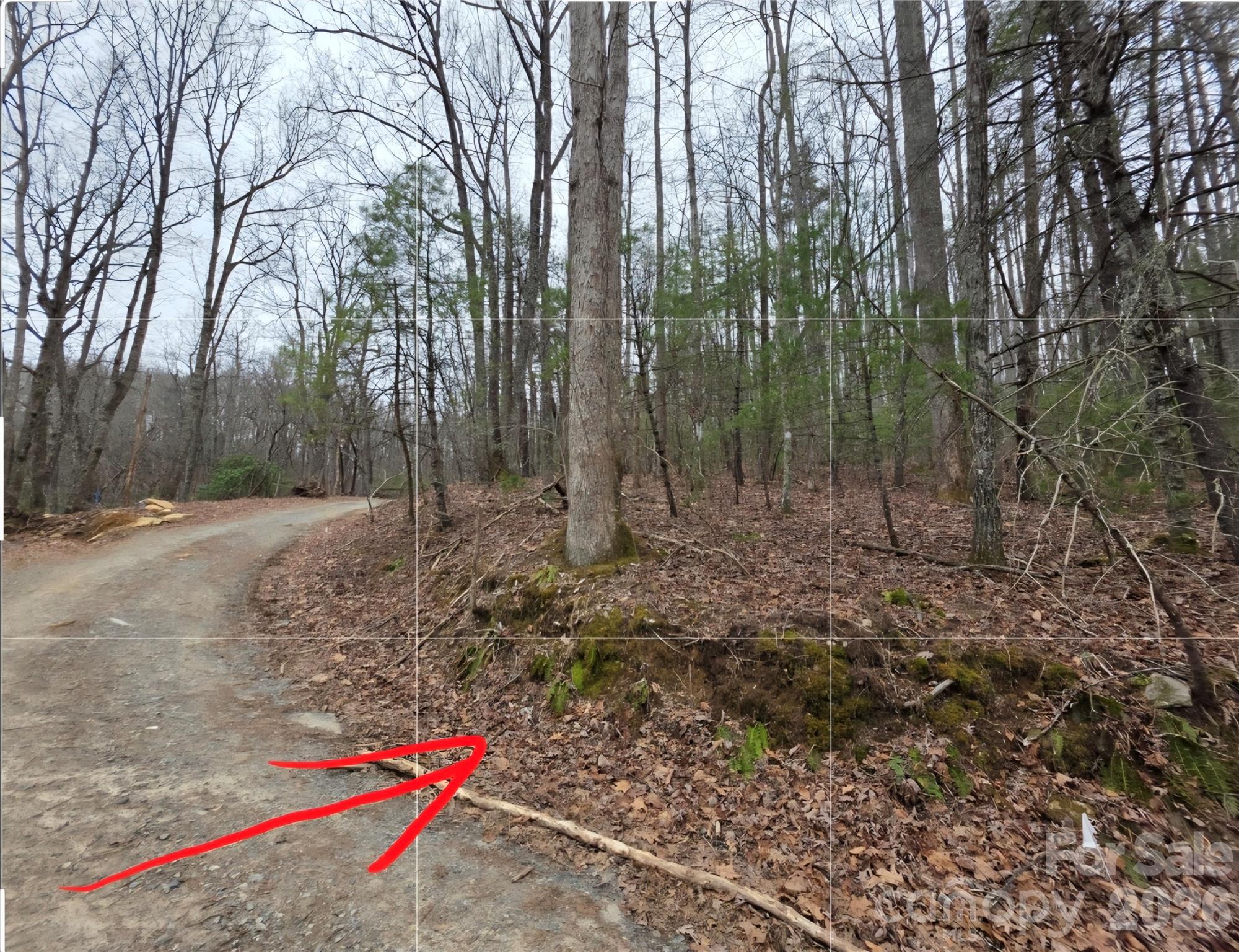 00 Hickory Wood Trail 20,21