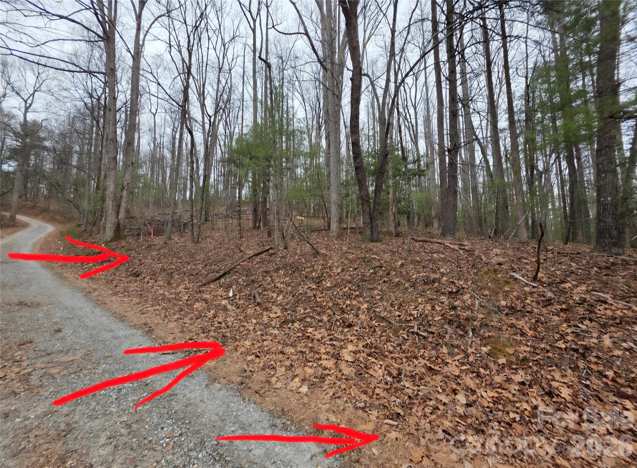 00 Hickory Wood Trail 20,21