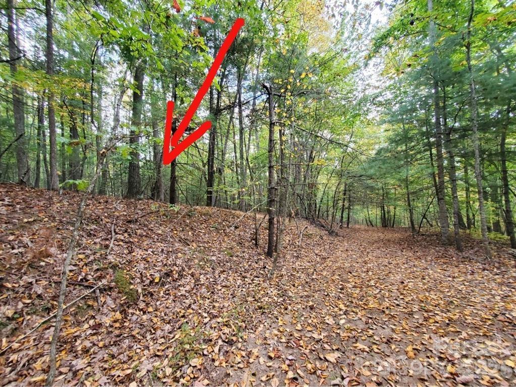 00 Hickory Wood Trail 20,21