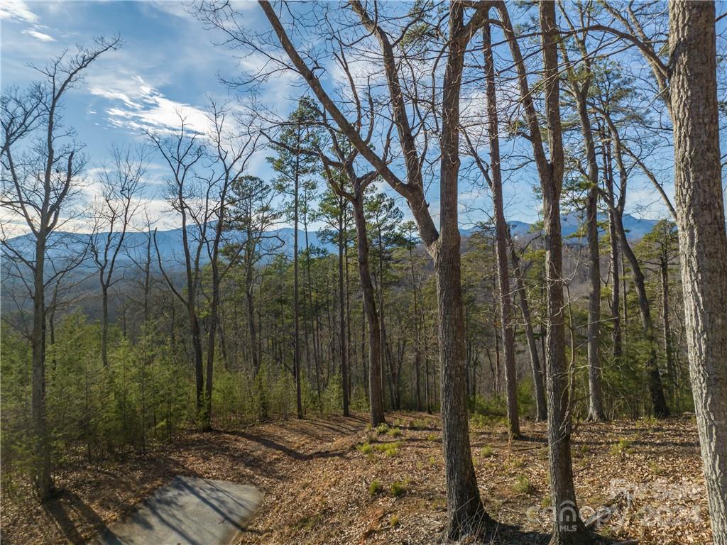 Vista at Bills Mountain - Land